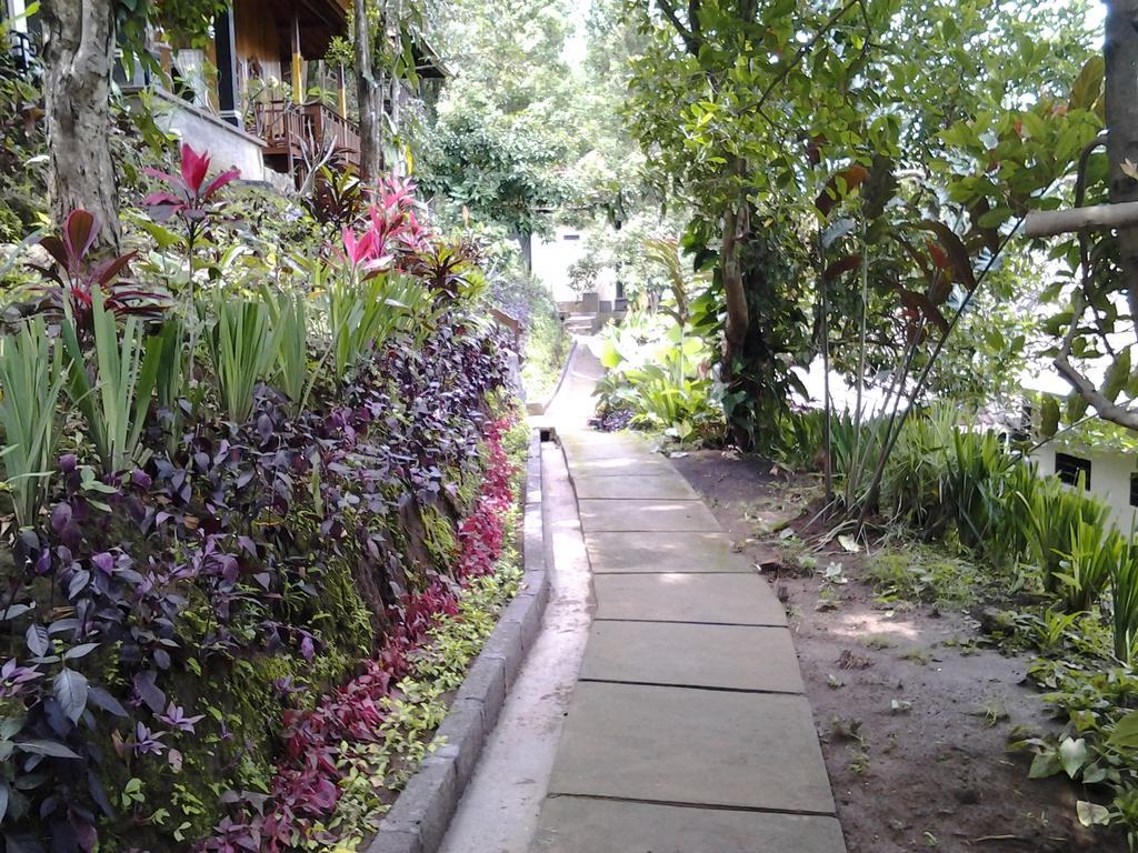 Bali Rahayu Homestay Munduk Extérieur photo